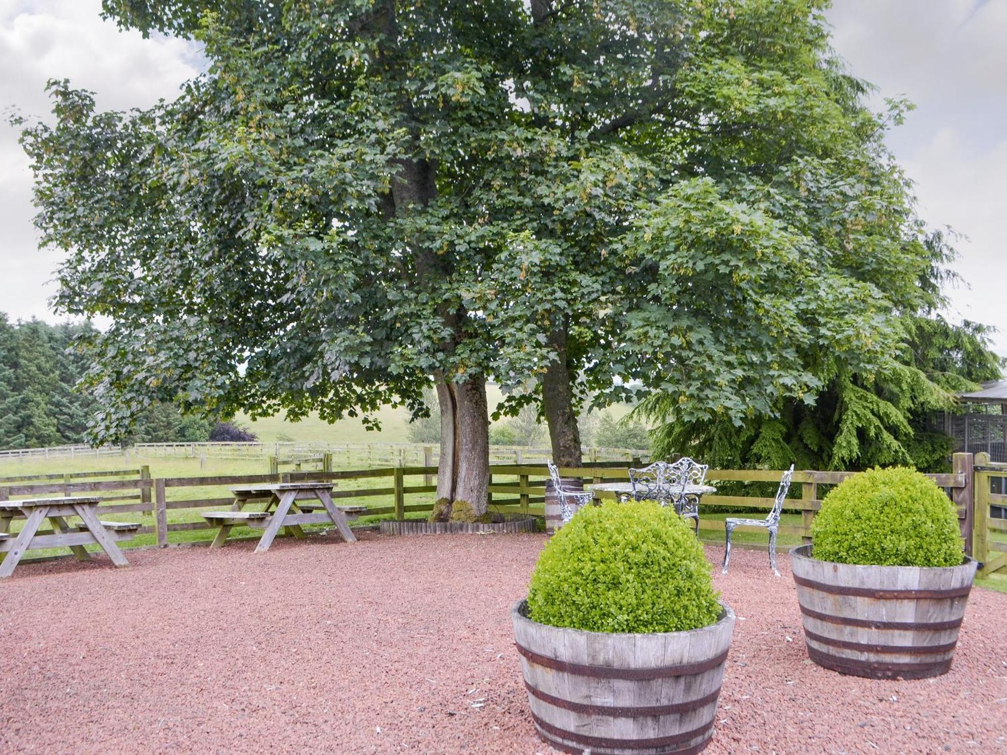 Broomstick Cottage Elsdon Bagian luar foto